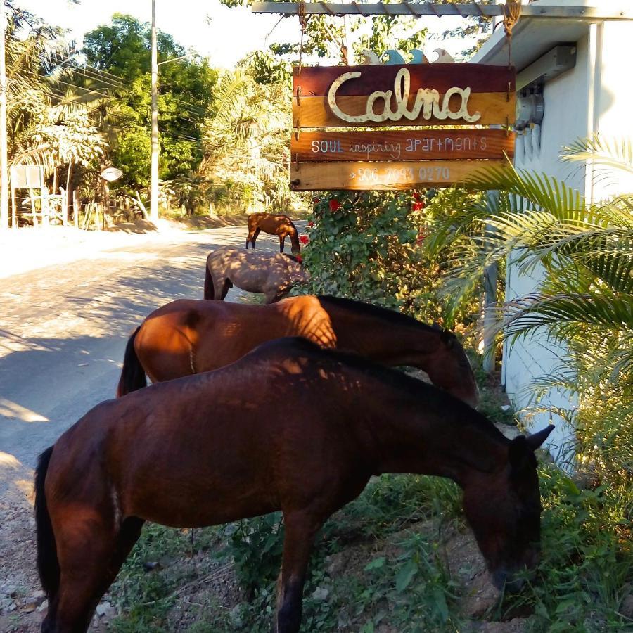 Calma Apartments Costa Rica Mal País Kültér fotó