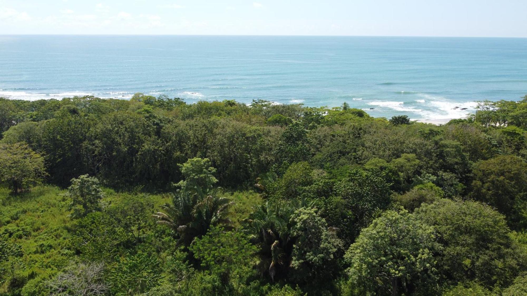 Calma Apartments Costa Rica Mal País Kültér fotó